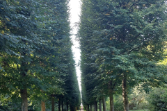 20230927_135955-scaled